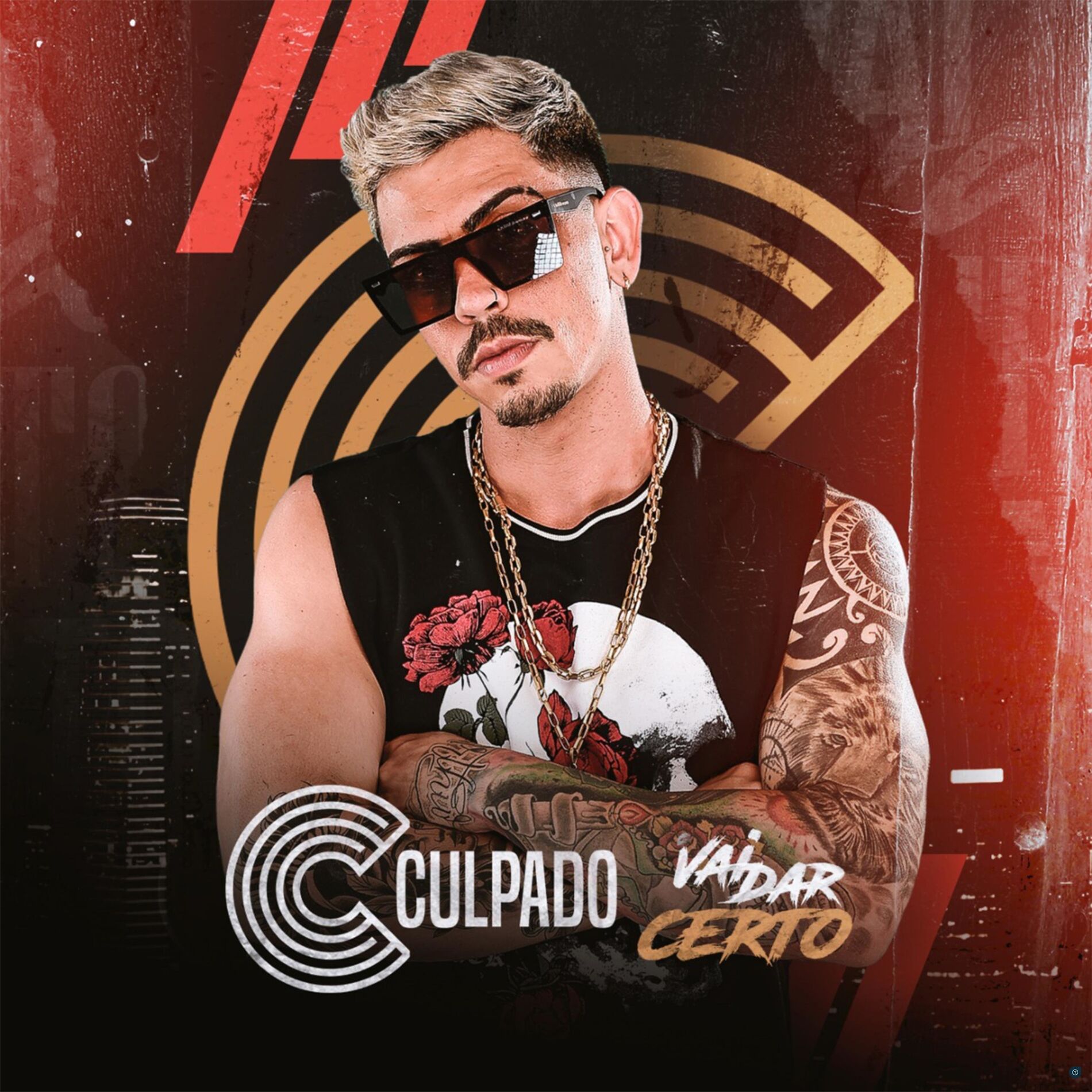 Album cover of Vai Dar Certo