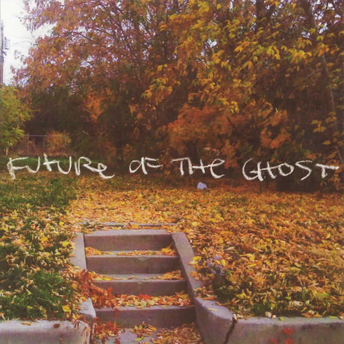 For The Future sleeve