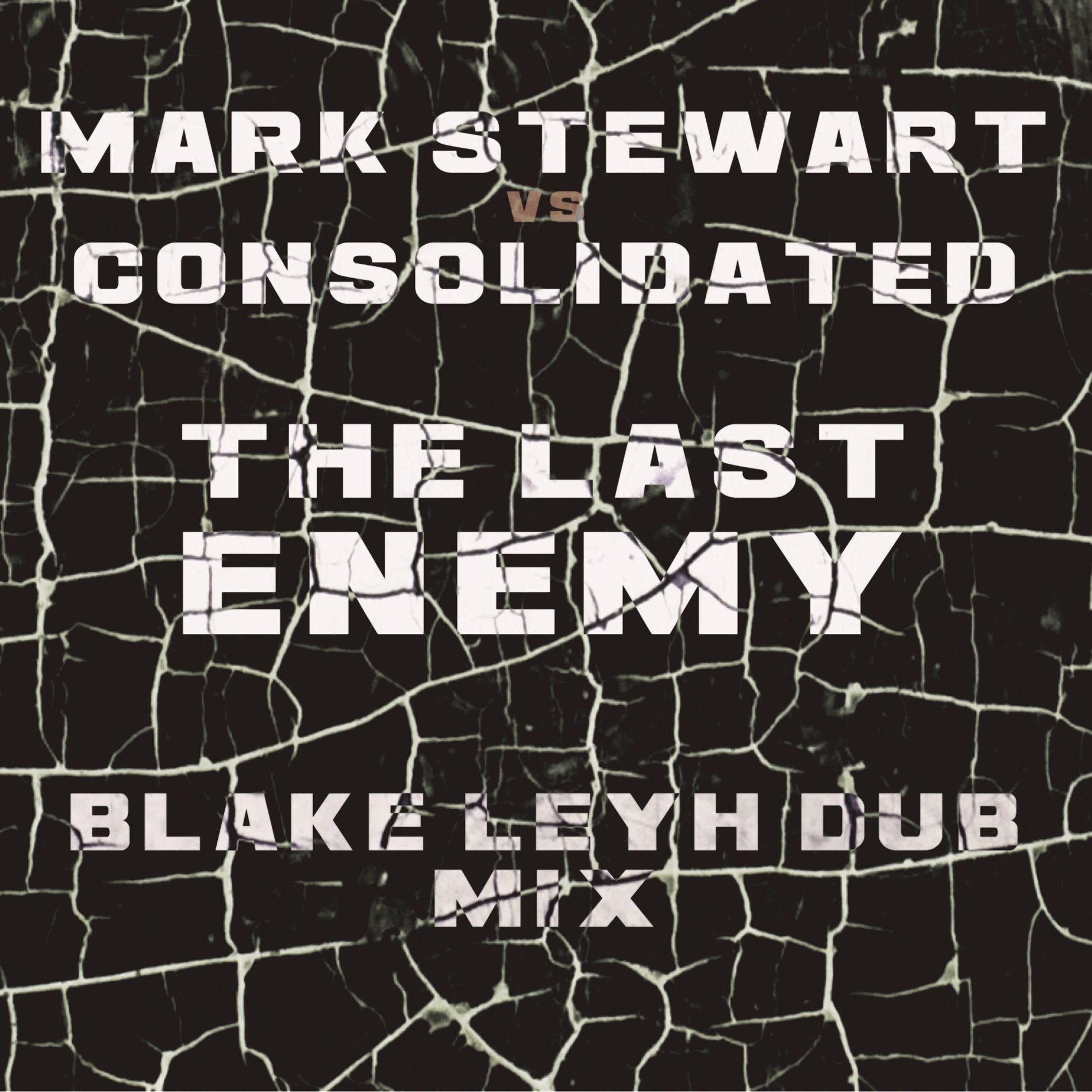 Album cover of The Last Enemy (Blake Leyh Dub Mix)