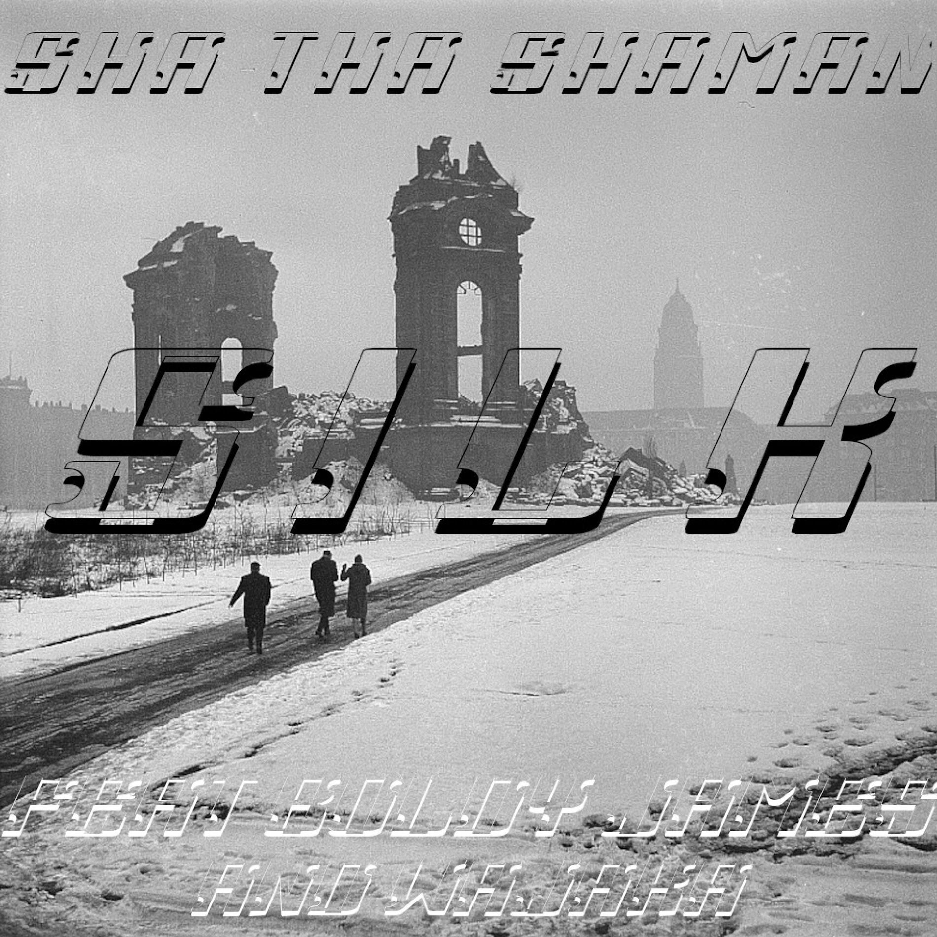 Album cover of SILK (feat. Boldy James & Wajaka) [Camoflauge Monk Remix]