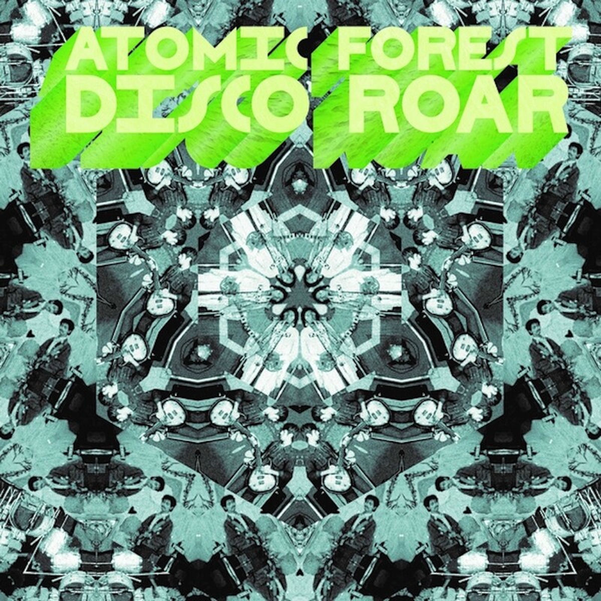 Album cover of Disco Roar