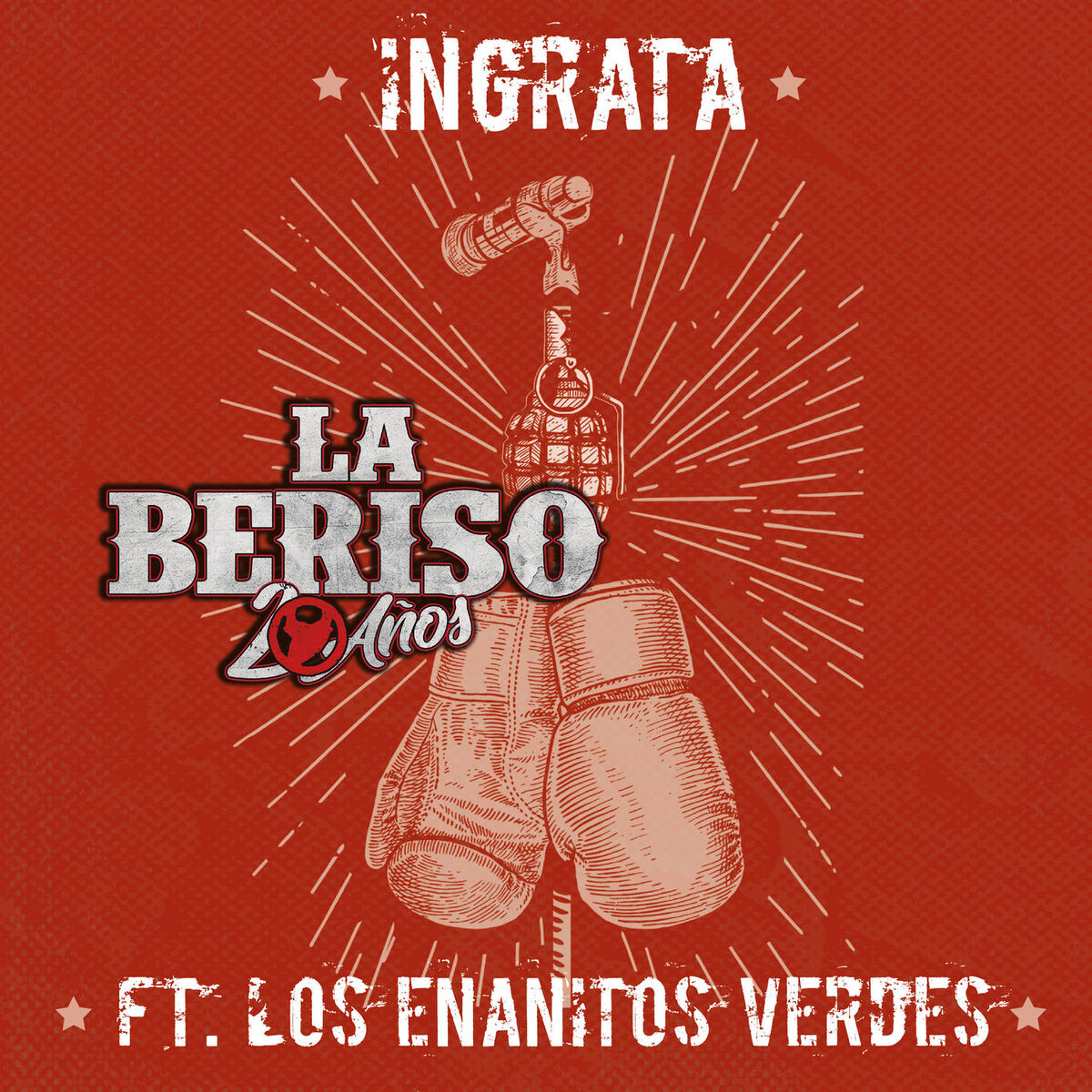 Album cover of Ingrata (feat. Los Enanitos Verdes)