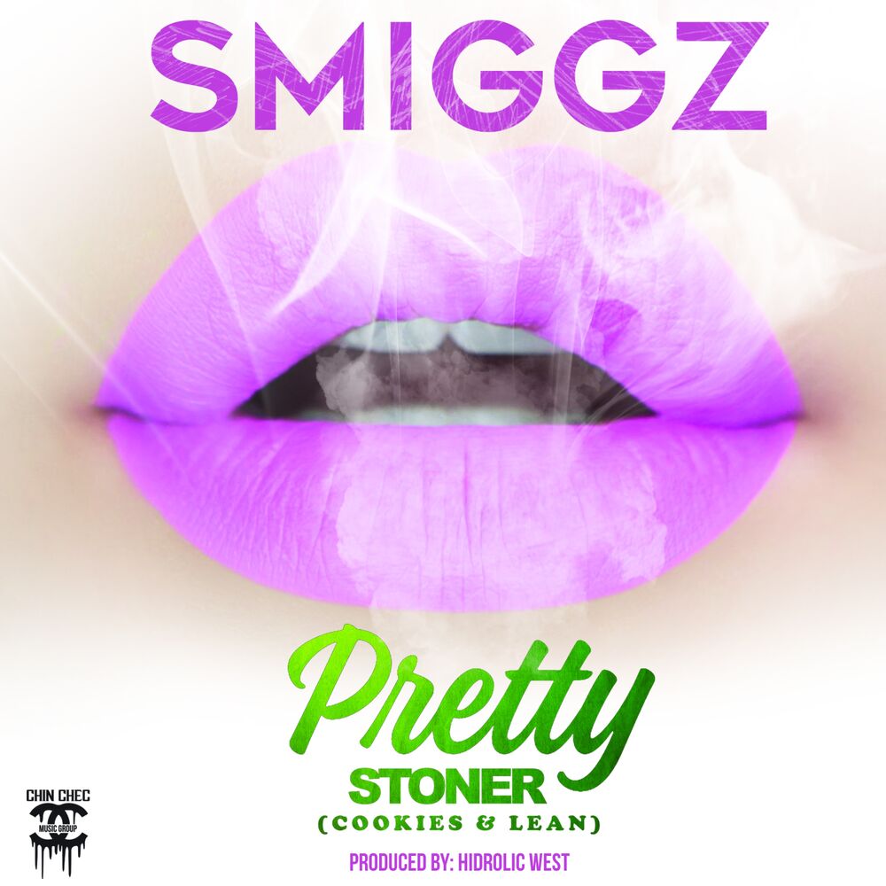 Picture of Pretty Stoner (Cookies & Lean) [feat. Hidrolic West]