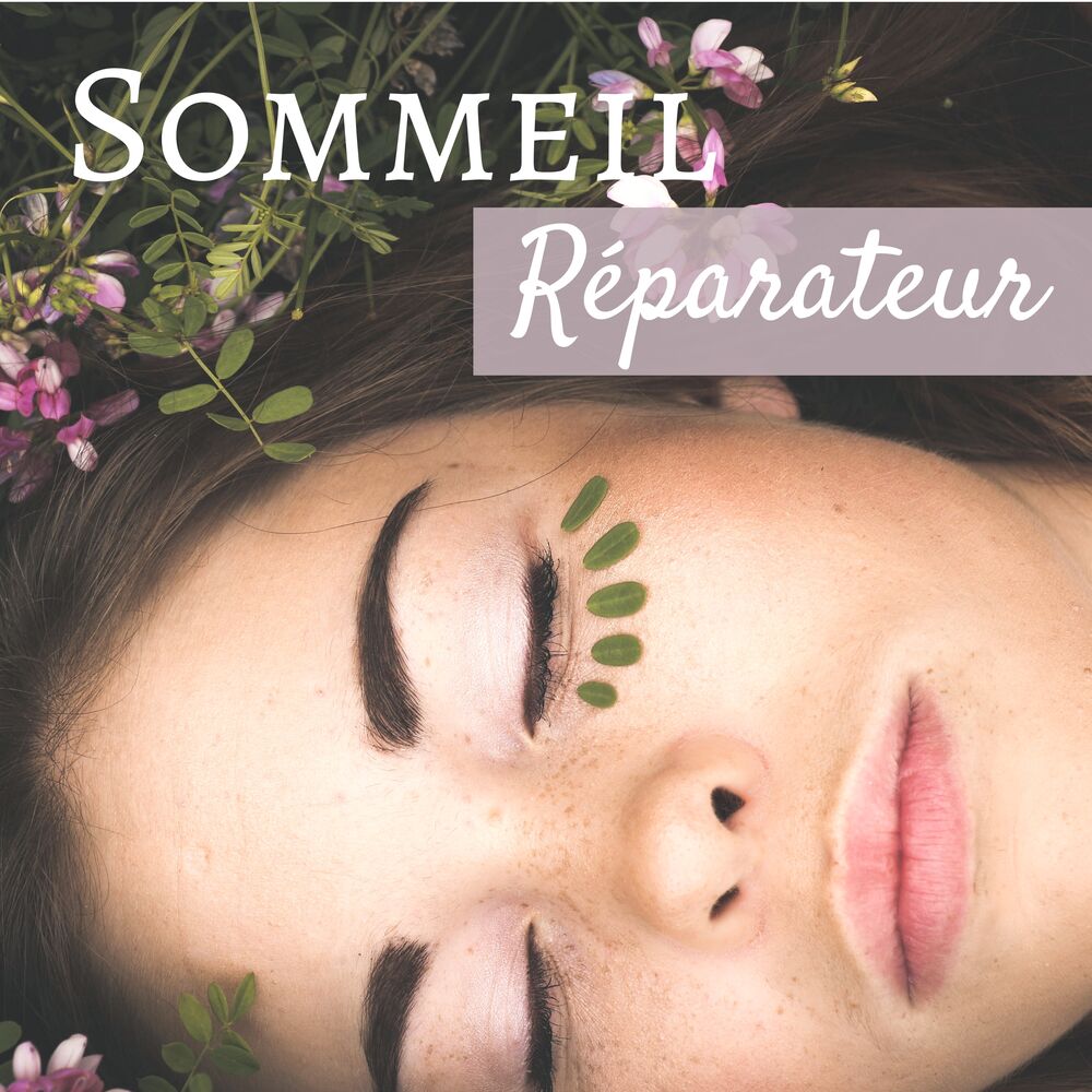 Picture of Sommeil Réparateur - Musique de fond pour nuit serein, ambiance relaxante de la nature
