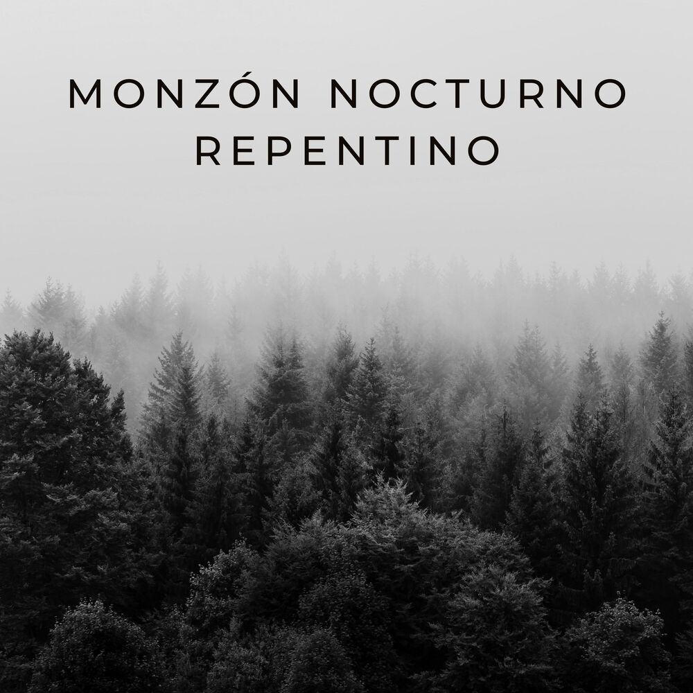 Picture of Monzón Nocturno Repentino
