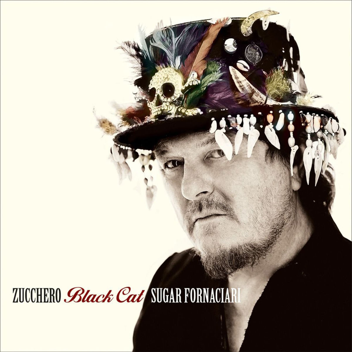 Album cover of Black Cat