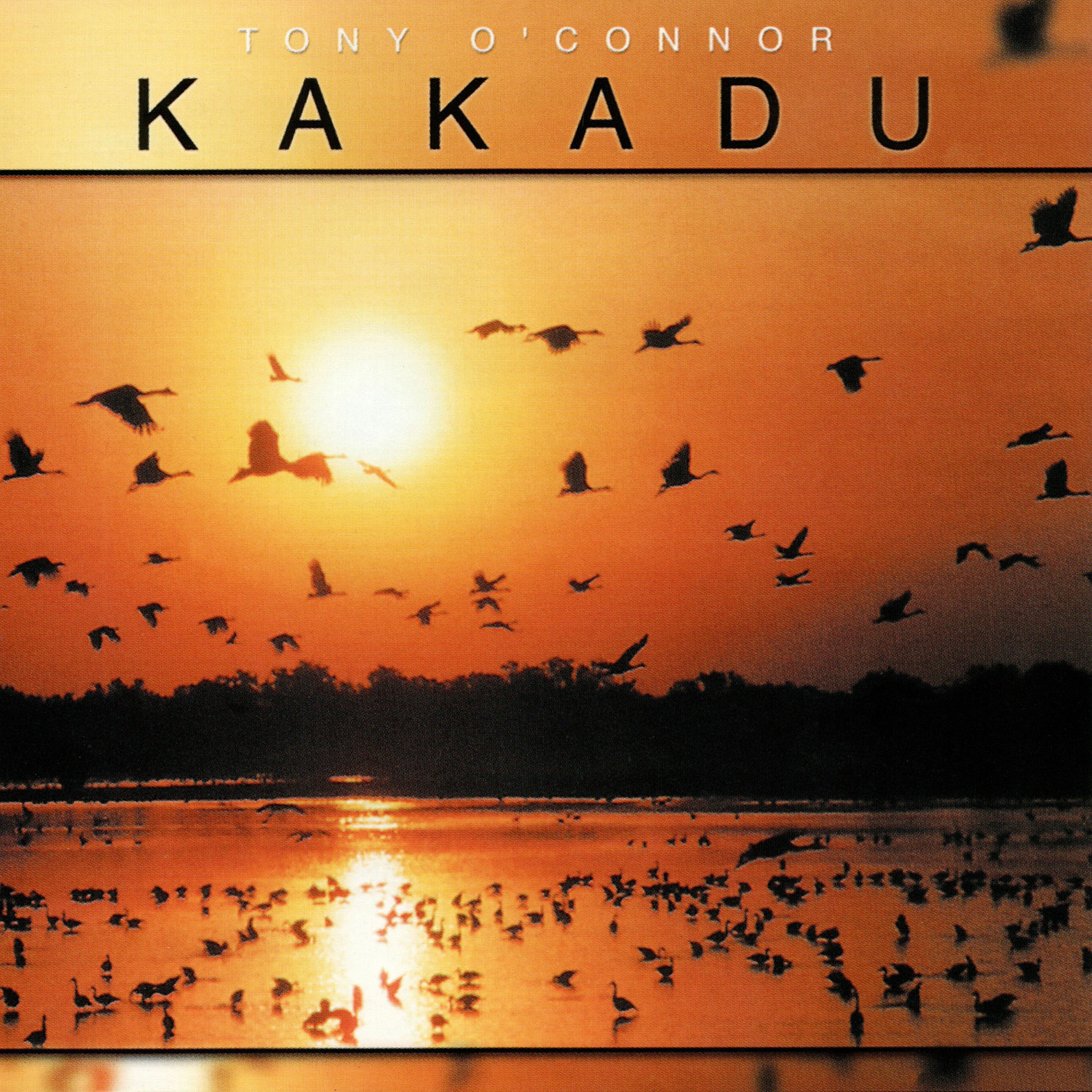 Album cover of Kakadu