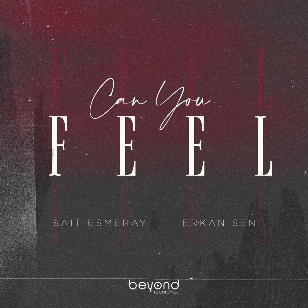 Picture of Can You Feel
