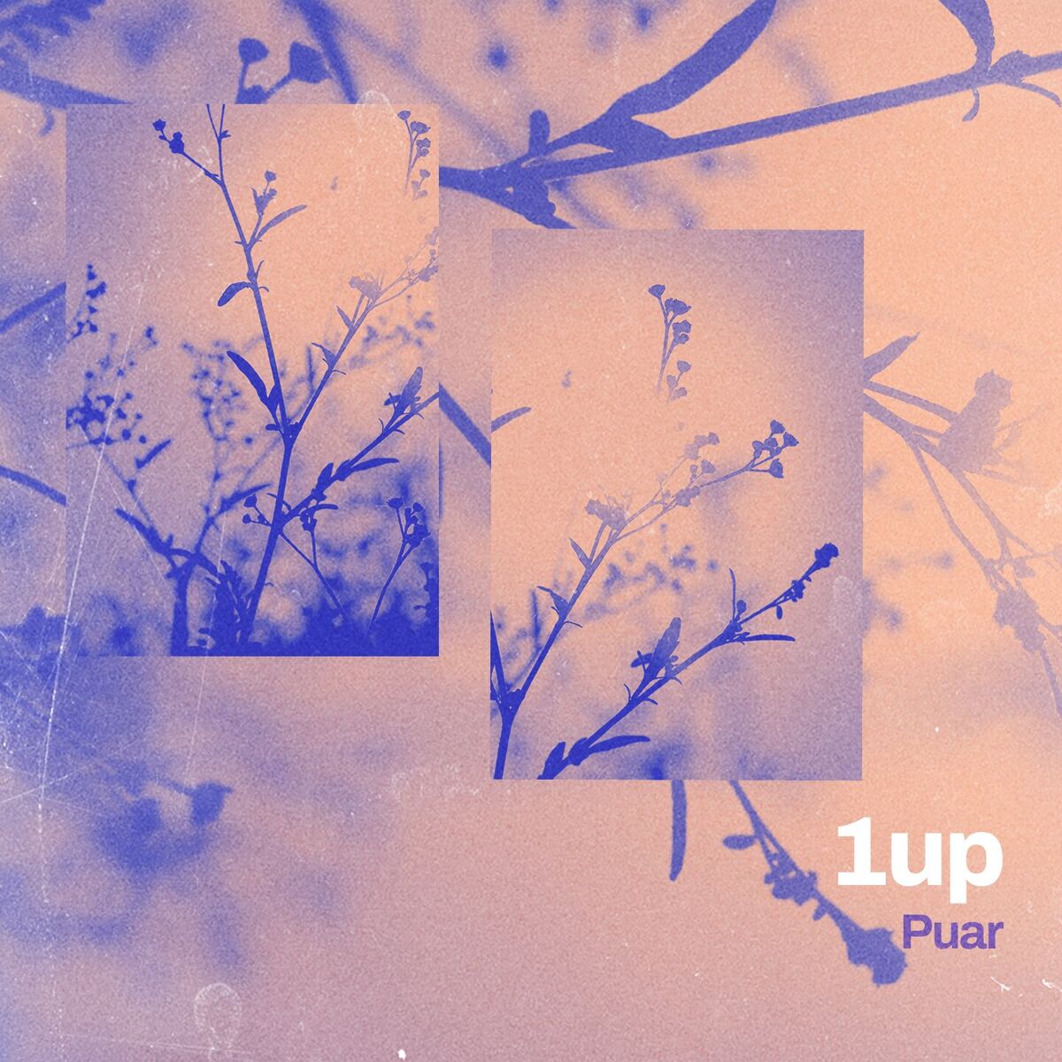 Album cover of 1up