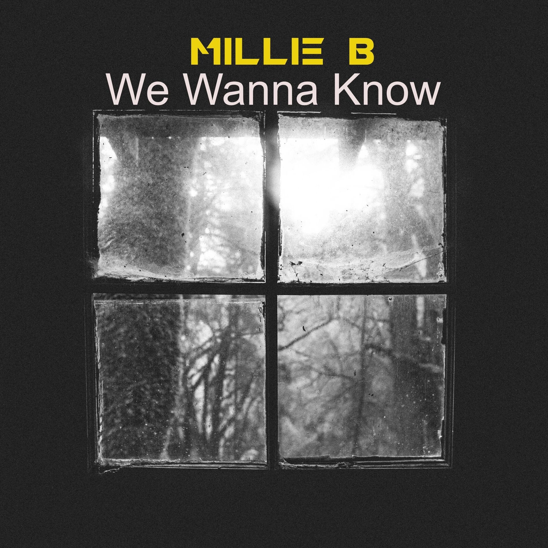 Album cover of We Wanna Know