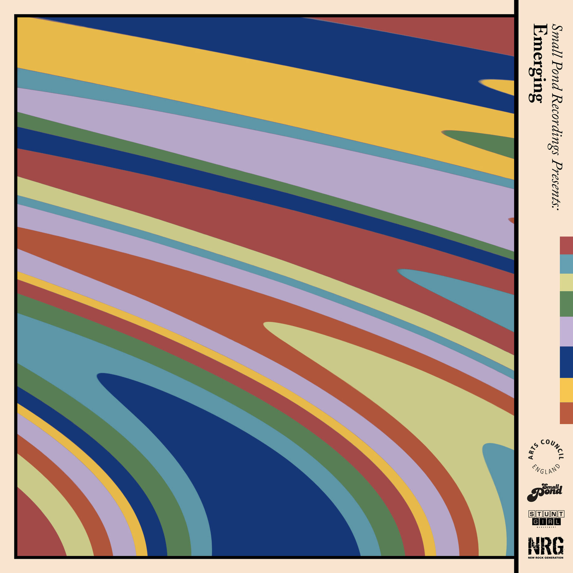 Album cover of Small Pond Presents: Emerging