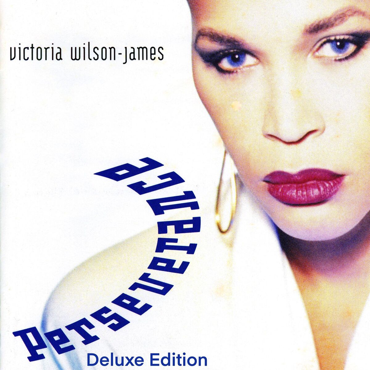 Album cover of Perseverance (Deluxe Edition)