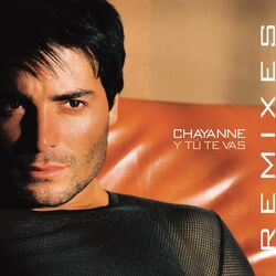 Cover of Y Tu Te Vas