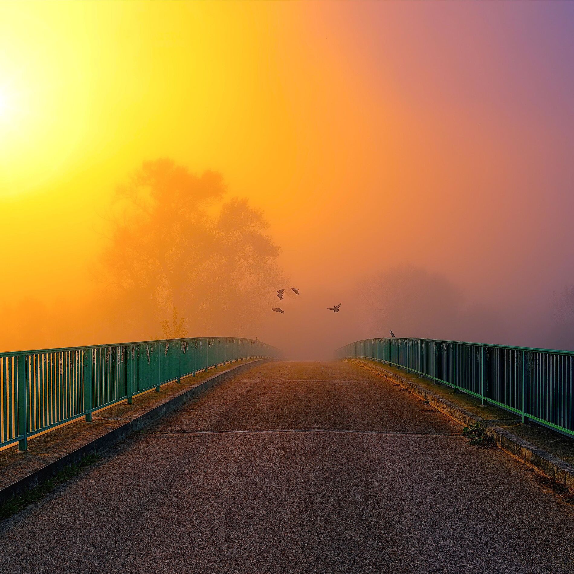 Album cover of Out of Golden Light