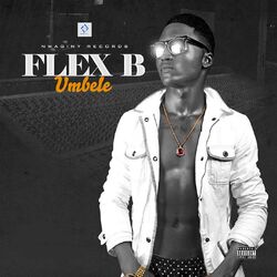 Cover of Umbele