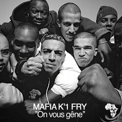 Cover of On Vous Gêne