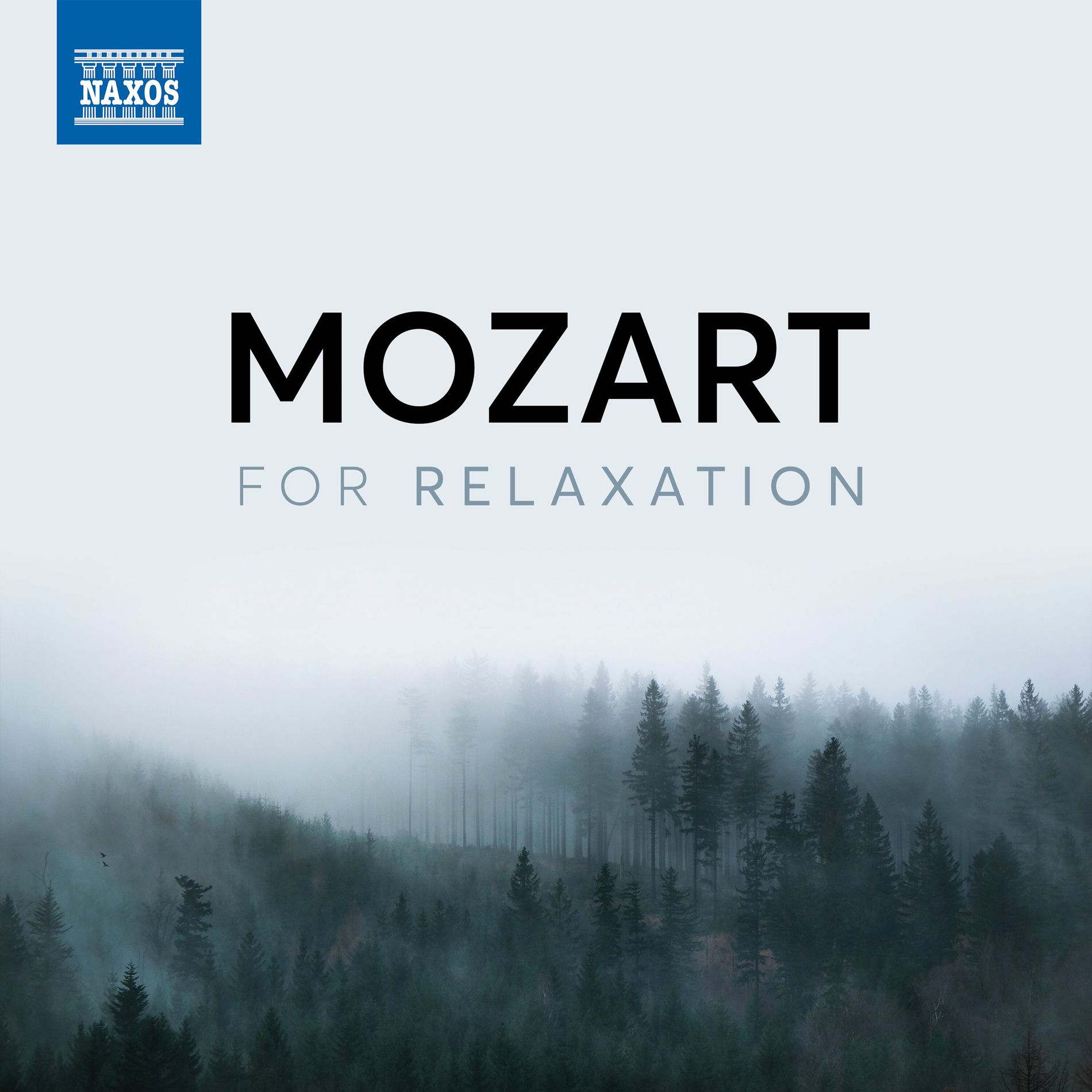 Album cover of Piano Sonata No. 12 in F Major, K. 332: II. Adagio