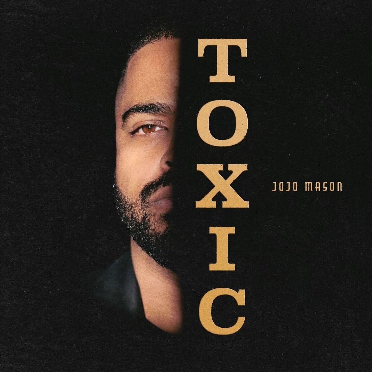 Album cover of Toxic