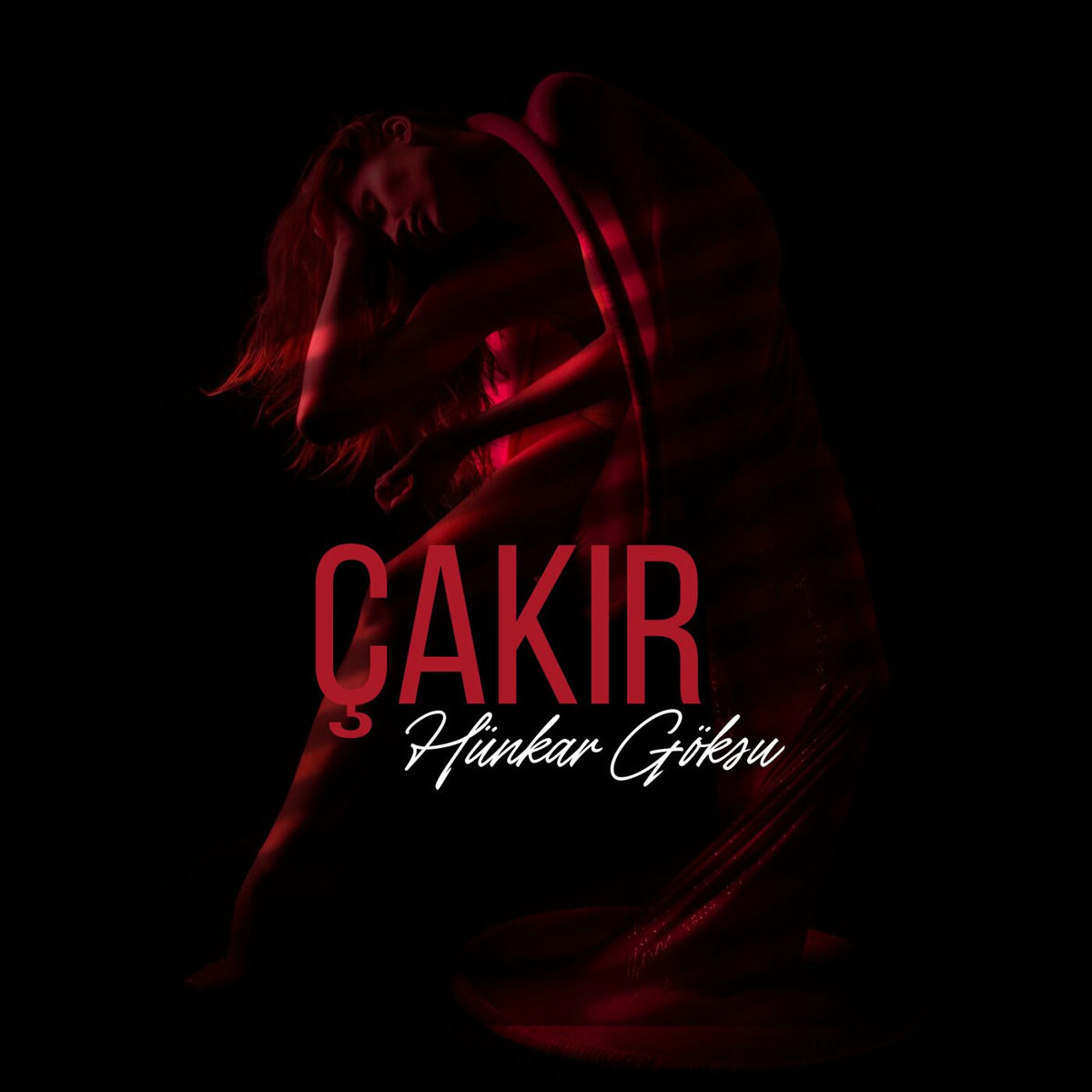 Album cover of Çakır