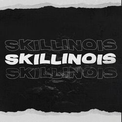 Cover of Skillinois