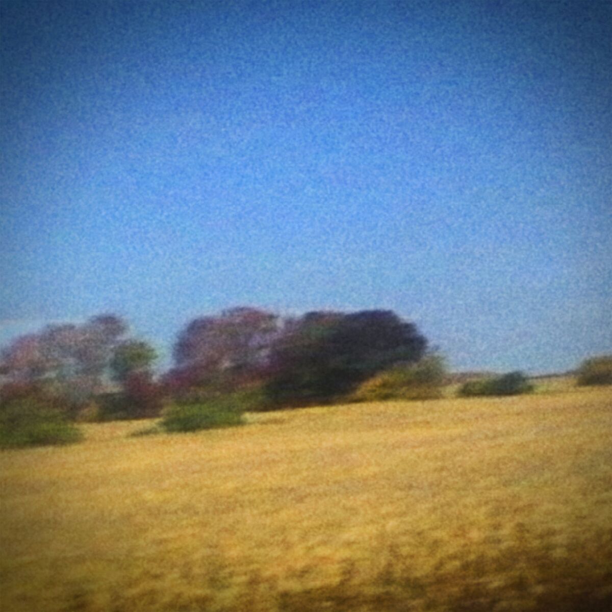 Album cover of Ben's My Friend