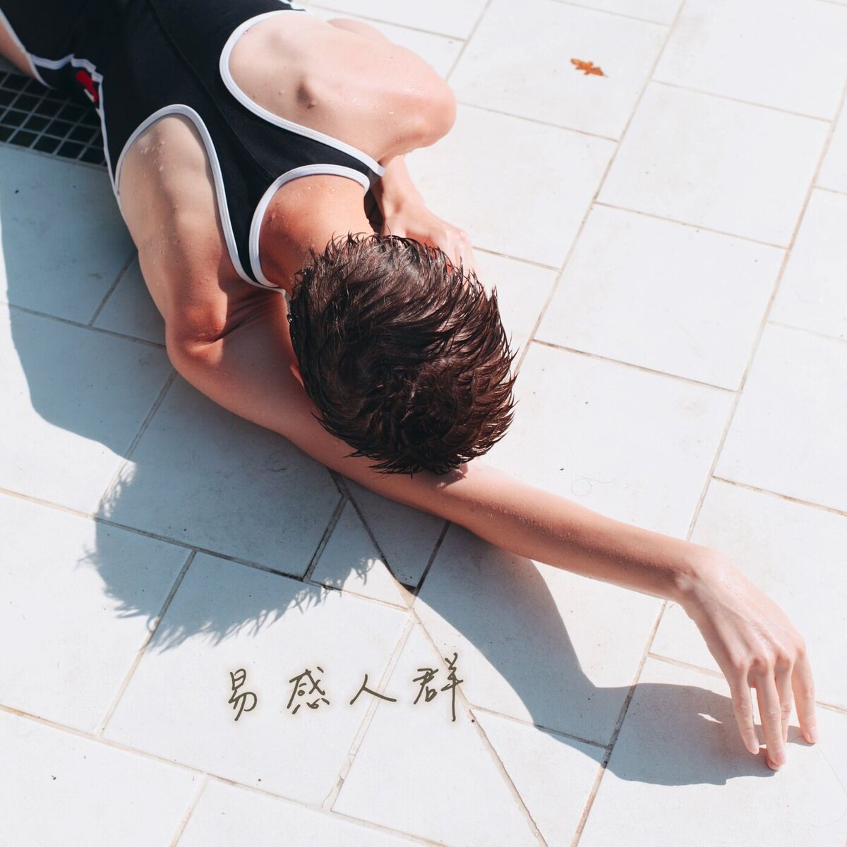 Album cover of 易感人群