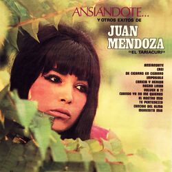 Cover of Ansiandote y Otros Exitos