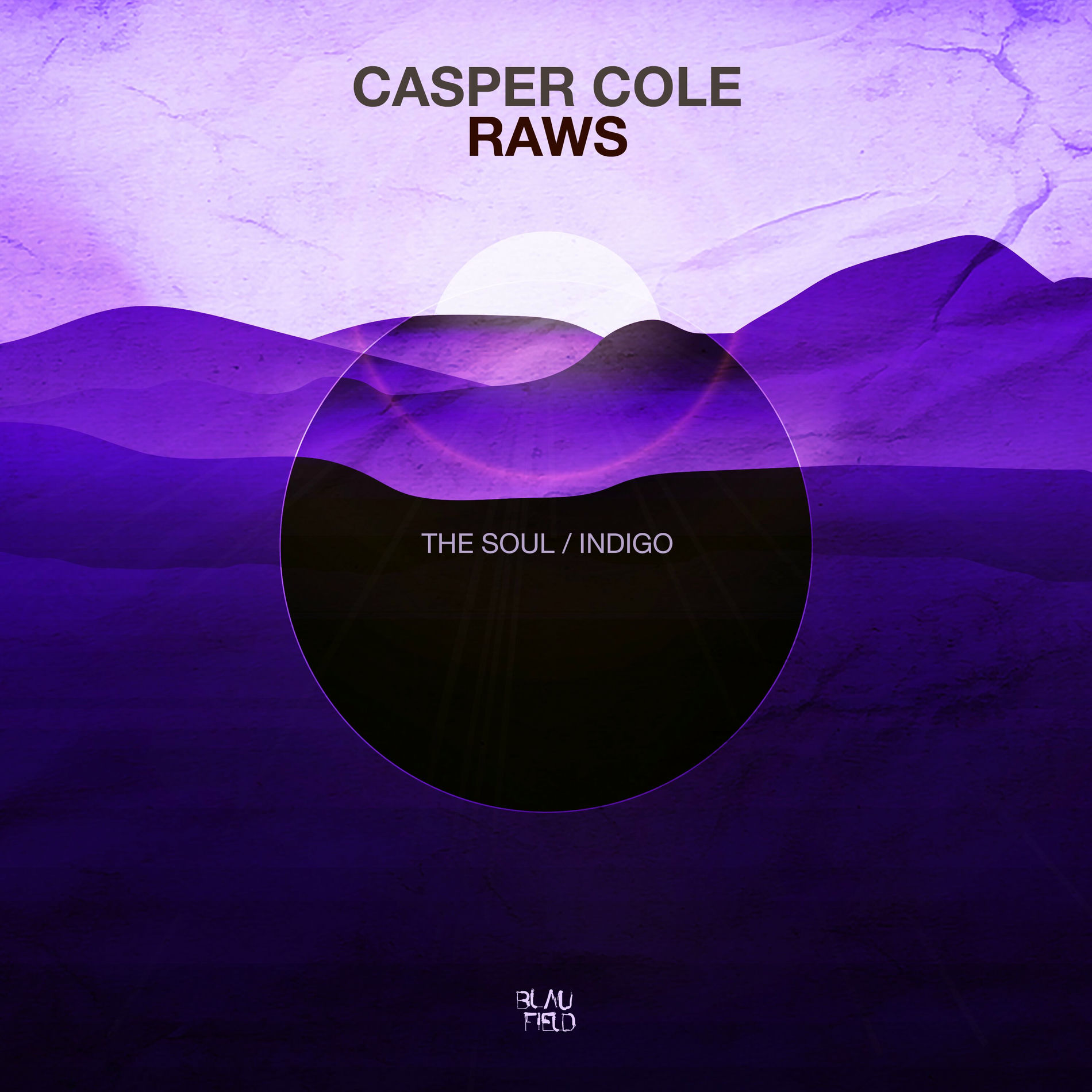 Album cover of The Soul / Indigo