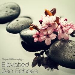 Cover of Elevated Zen Echoes