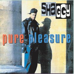 Cover of Pure Pleasure
