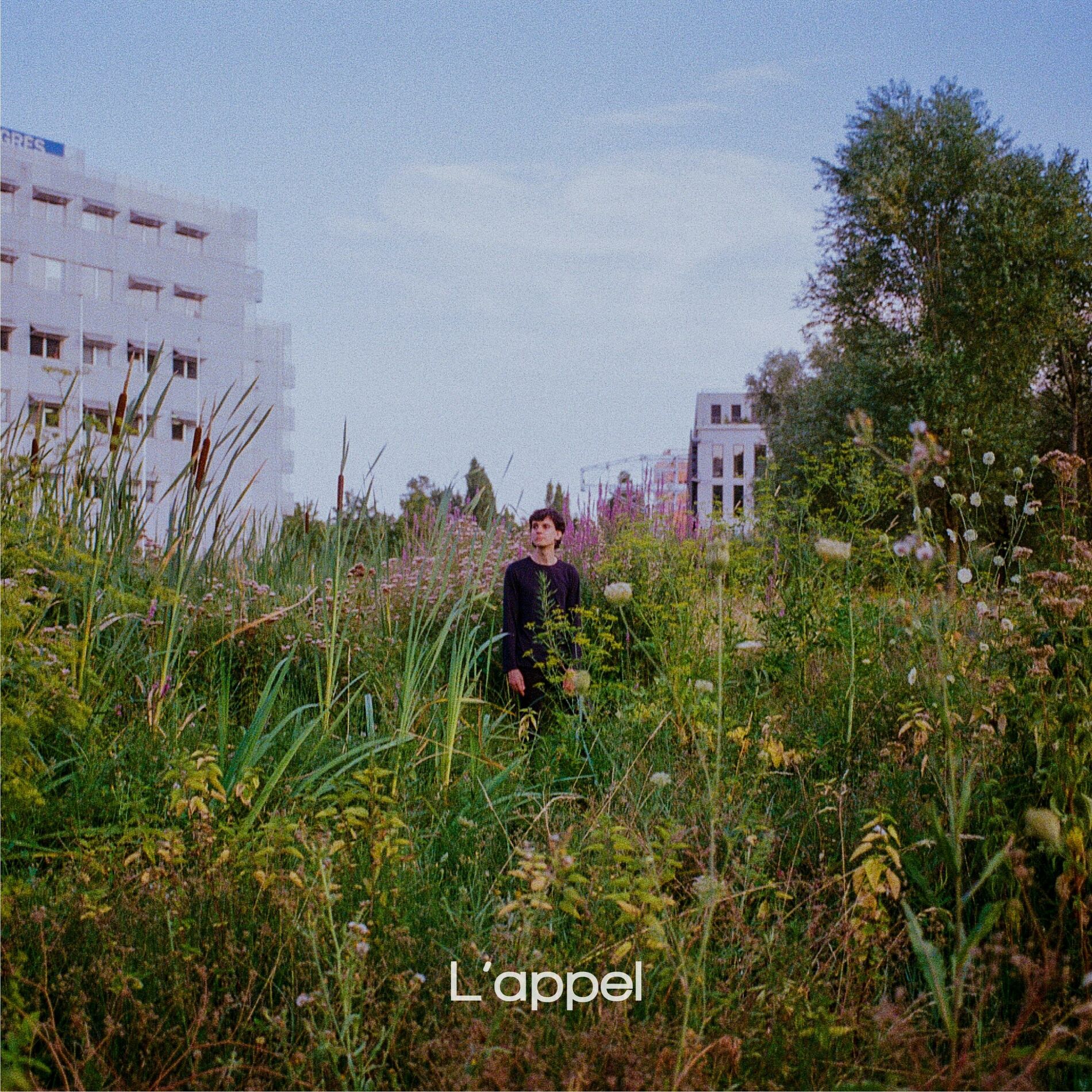 Album cover of L'appel