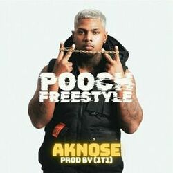 Cover of Pooch (Radio Edit)