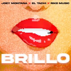 Cover of BRILLO