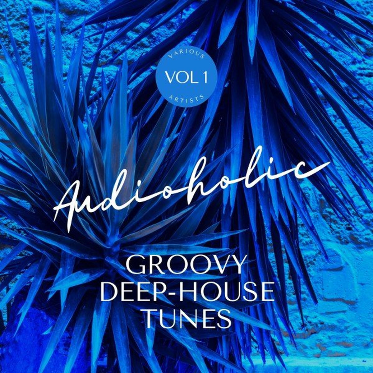 Album cover of Audioholic (Groovy Deep-House Tunes), Vol. 1