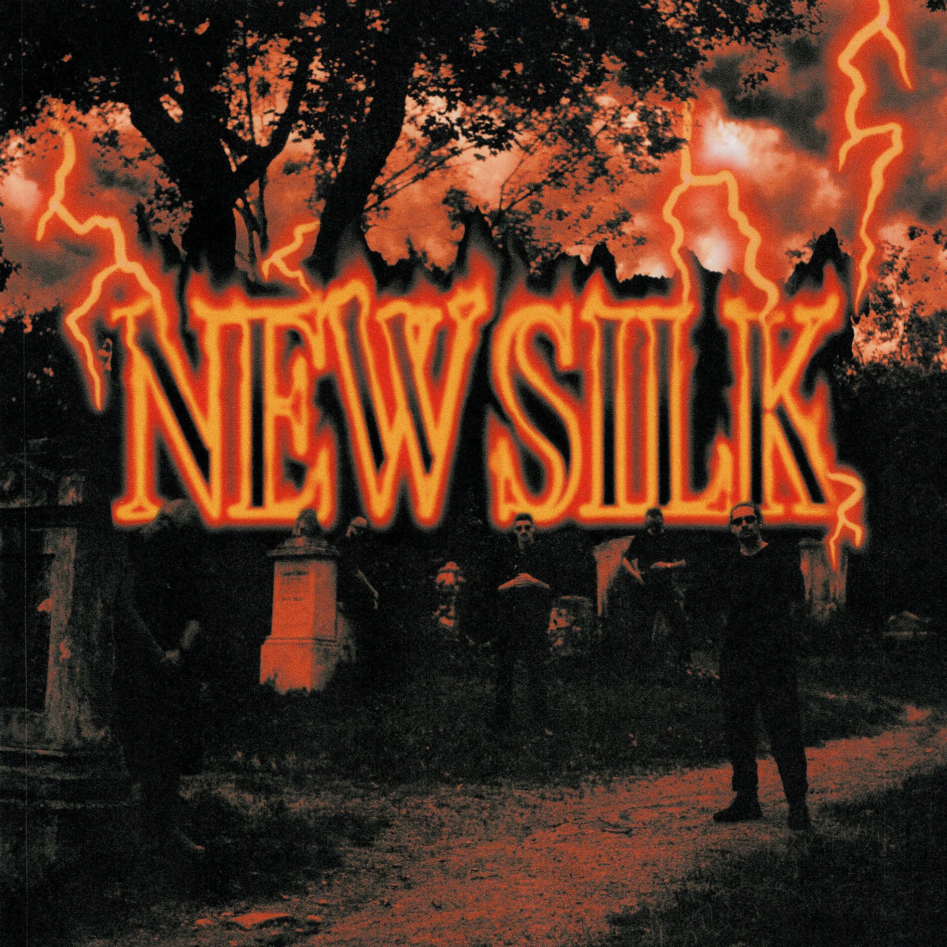Album cover of New Silk