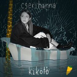 Cover of KIKÖTŐ