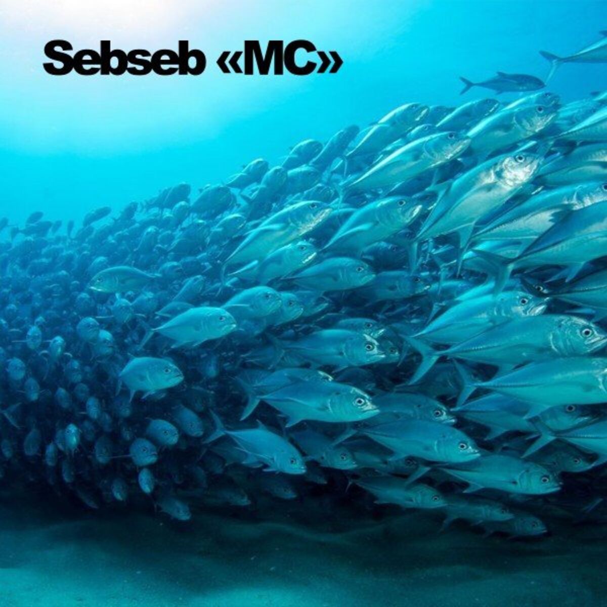 Album cover of MC