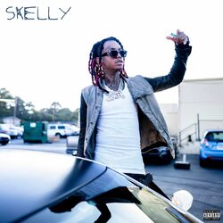Cover of Skelly
