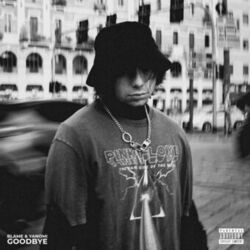 Cover of g o o d b y e