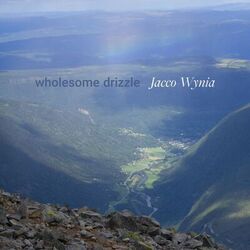 Cover of wholesome drizzle