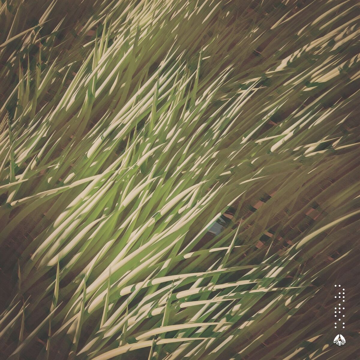 Album cover of Endless Breeze