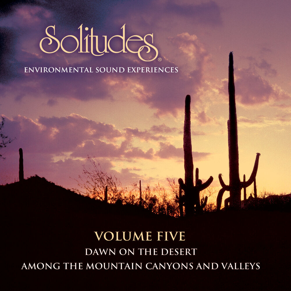 Picture of Solitudes, Vol. 5