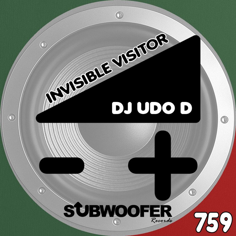 Picture of Invisible Visitor