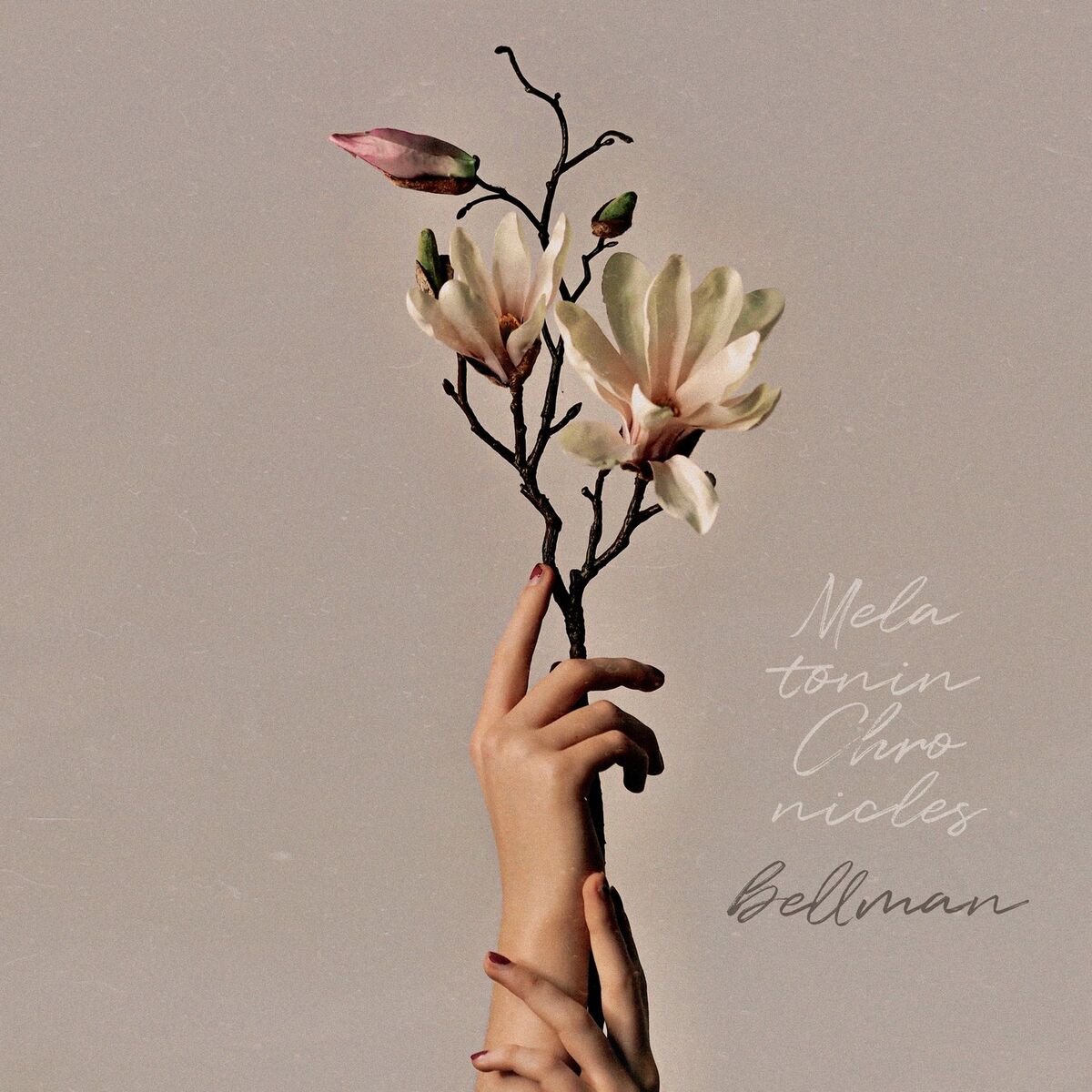 Album cover of Melatonin Chronicles