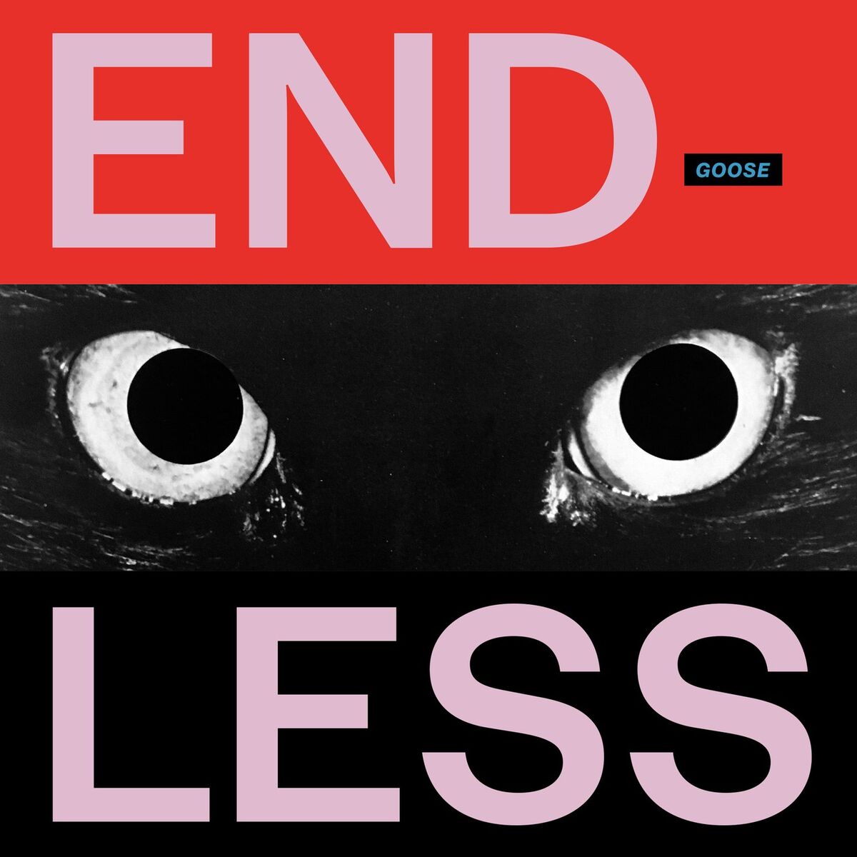 Album cover of Endless