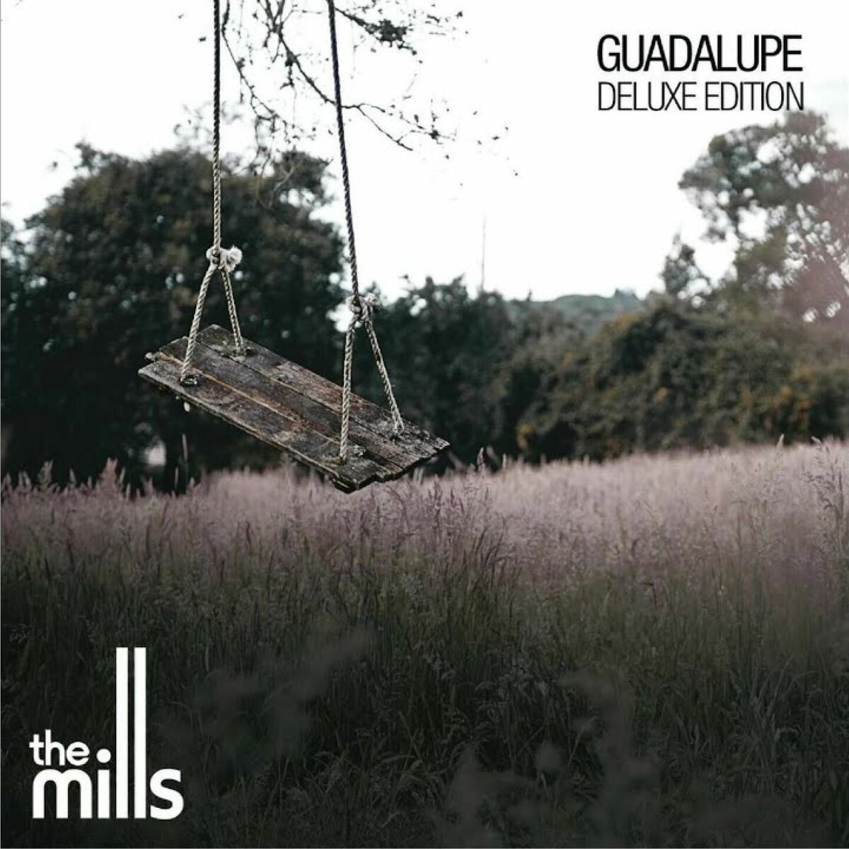 Album cover of Guadalupe (Deluxe Edition)