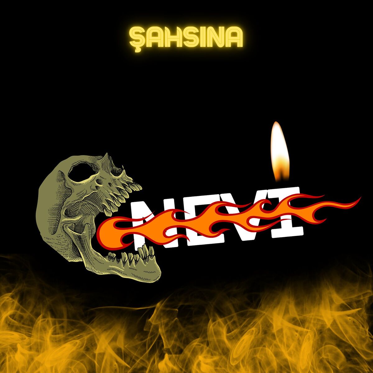 Album cover of Şahsına