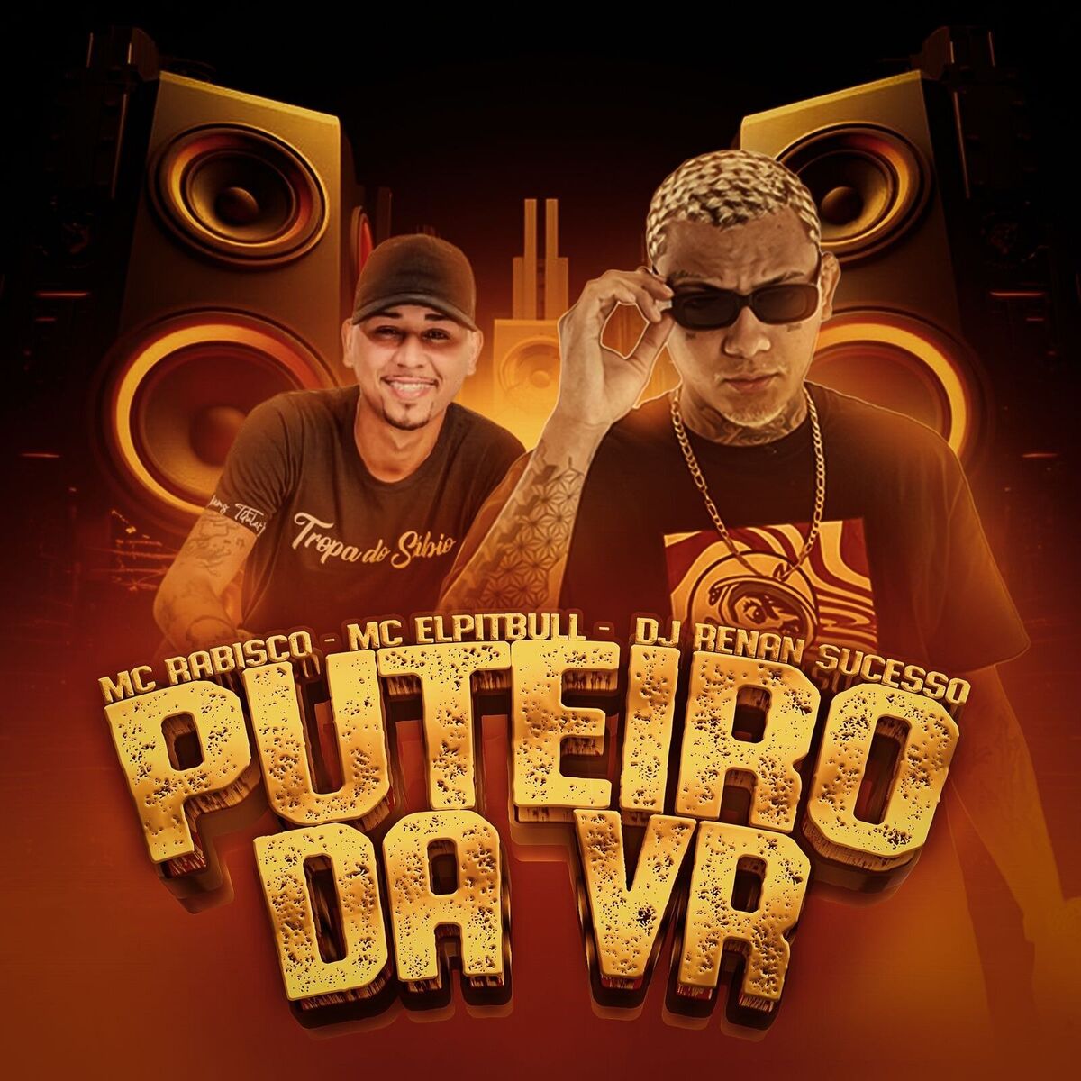 Album cover of puteiro da vr