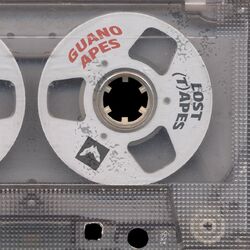 Cover of The Lost (T)apes