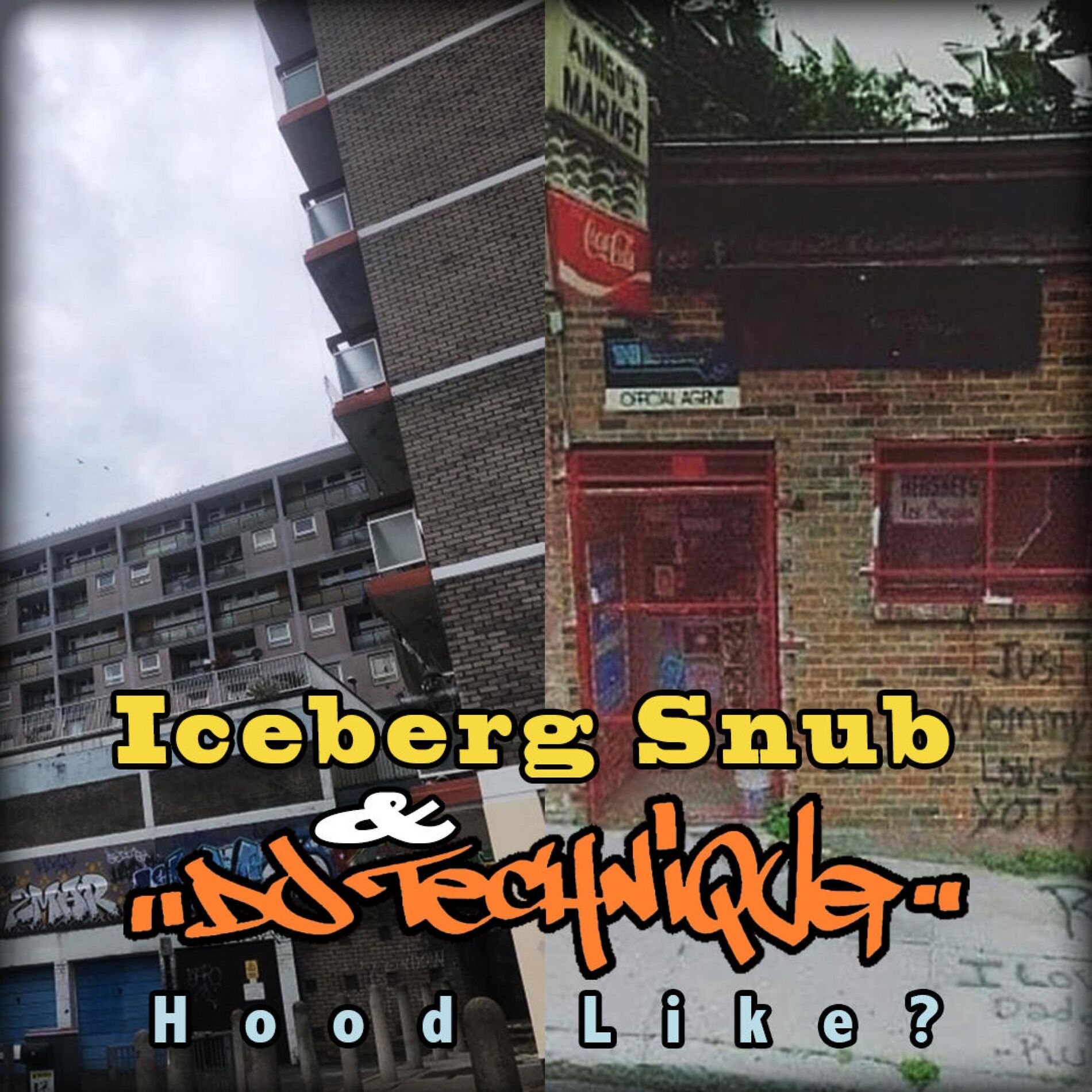 Album cover of Hood Like? (feat. Iceburg Snub)